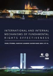 International and Internal Mechanisms of Fundamental Rights Effectiveness 