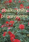 Mezinárodní normotvorba v 21. století: autonomie, či heteronomie?