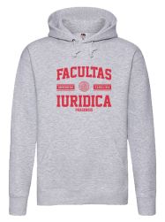 Mikina Premium - barva šedá